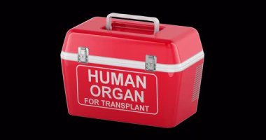 Kırmızı organ nakliyesi soğutucu döndürme animasyonu sorunsuz bir şekilde çevrilebilir. Şeffaf arkaplanda 3B görüntüleme izole edildi
