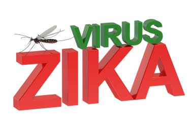 Zika virüs kavramı