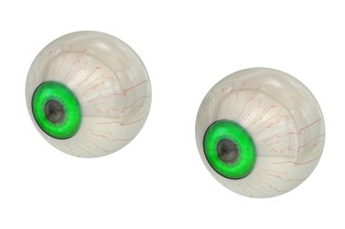 gözleri yeşil iris 