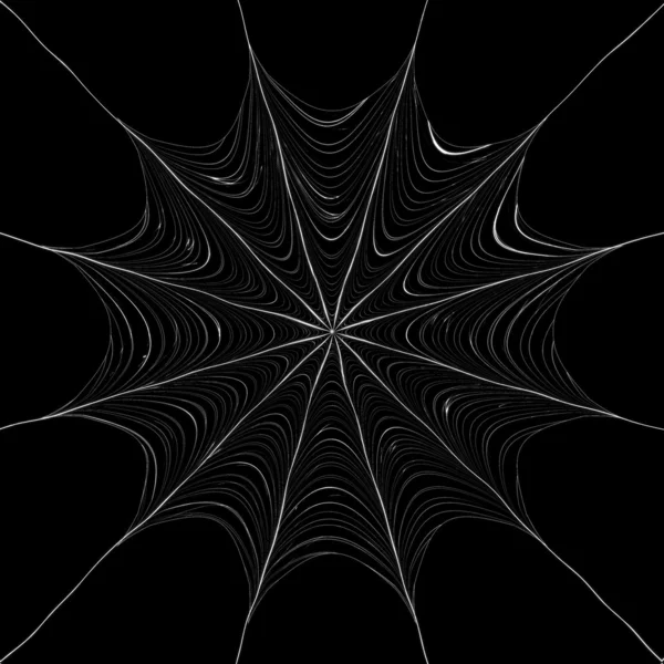 Spider web — Stock Photo, Image