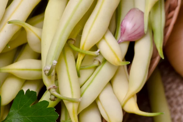 Beans and garlic — Stock Photo, Image