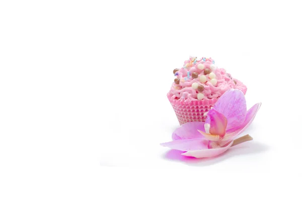 Muffin and orchid — Stock Photo, Image