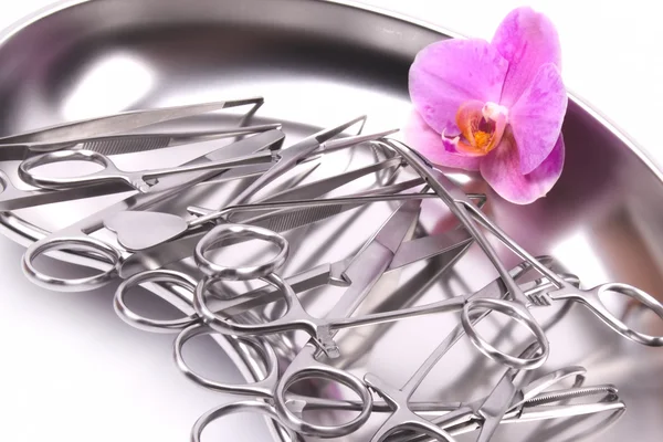 Orchid on surgical instruments Stock Picture