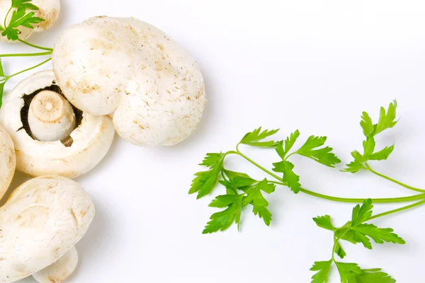 Parsley and champignon — Stock Photo, Image