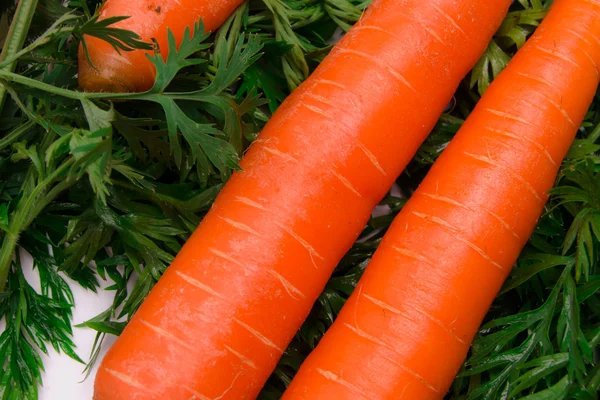 Vivid carrots — Stock Photo, Image