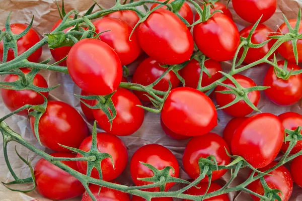 Bouquet de tomates — Photo
