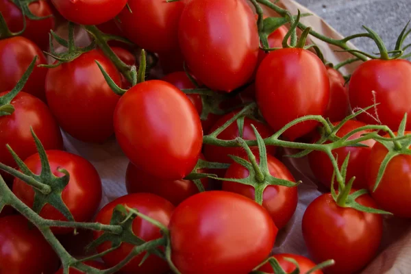 Tomate rouge fraîche — Photo