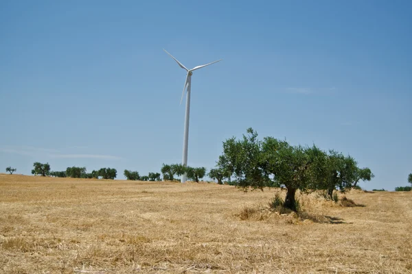 Birçok Rüzgar enerjisi — Stok fotoğraf