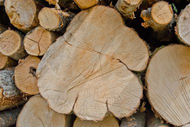 günlükleri difrent boyutu ile