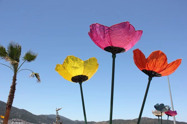 Large ornamental flowers — Stock Photo, Image