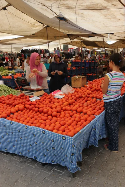 Μια αγγλική κυρία χαλάρωση — Φωτογραφία Αρχείου