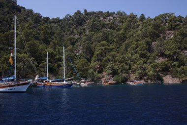 Turistler için tekne turları