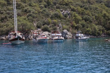 Turistler için tekne turları