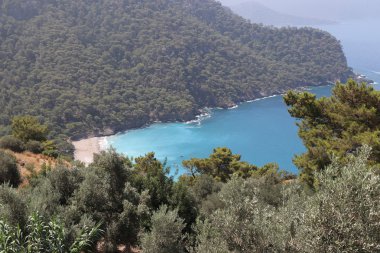 Kabak 2016 güzel bir doğal koyunda