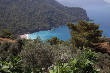Kabak 2016 güzel bir doğal koyunda