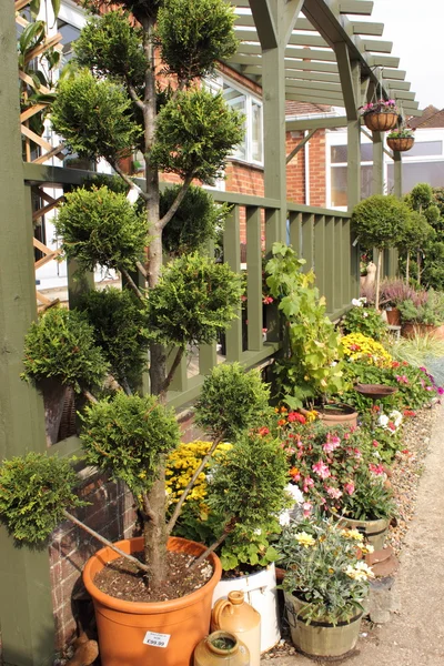 Schöner englischer Garten — Stockfoto