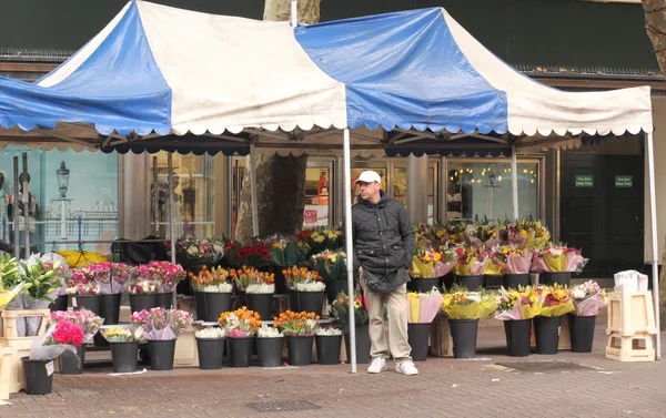 Um comerciante desconhecido vendendo flores — Fotografia de Stock