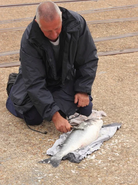 Pesca marítima — Foto de Stock