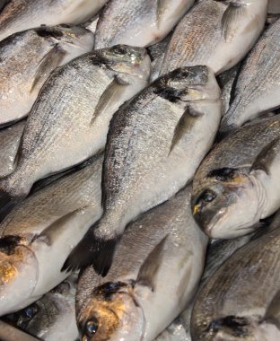 Balık pazarında taze balık satılıyor.