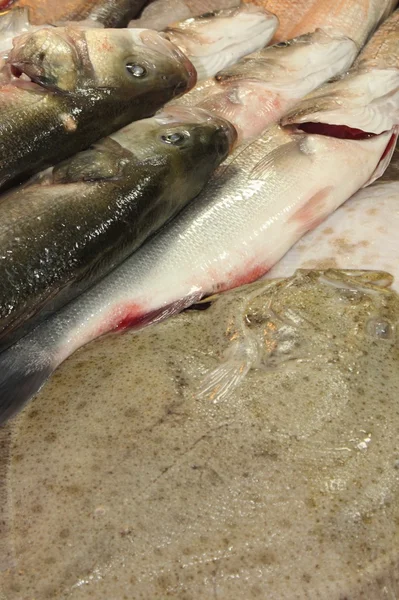 Frischer Fisch zum Verkauf auf einem Fischmarkt — Stockfoto