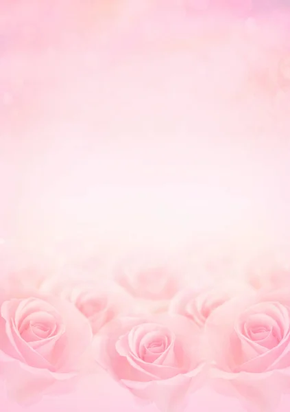 Рожеві Квіти Троянд Розмитим Пастельним Кольоровим Фоном Кохання Весілля Дня — стокове фото