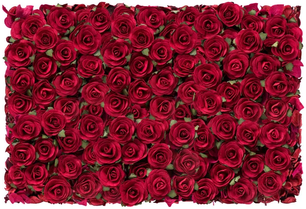 Rose Red Schönen Hintergrund Für Valentinstag — Stockfoto