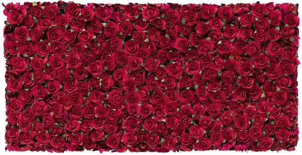 Rosa Vermelha Belo Fundo Para Dia Dos Namorados — Fotografia de Stock