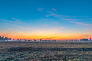 Kırsal alan, gündoğumunda tarlalar, sabah sisi ve güzel gökyüzü..