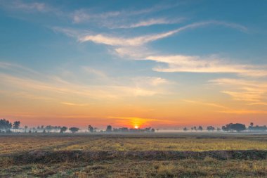 Kırsal alan, gündoğumunda tarlalar, sabah sisi ve güzel gökyüzü..