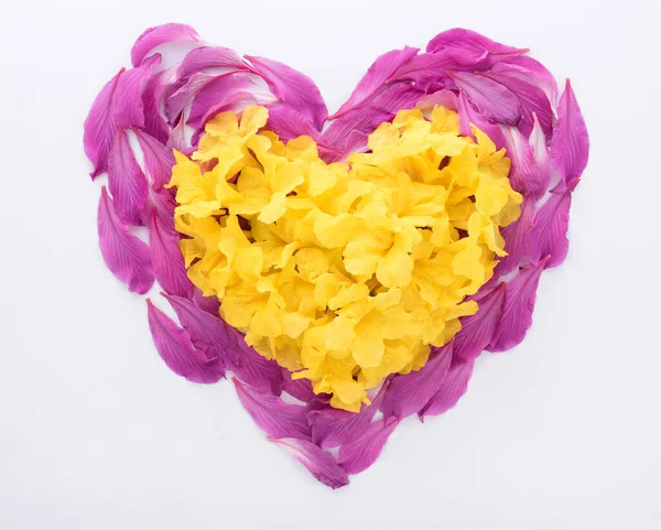 在爱情婚礼或情人节的白色背景上分离的心形紫色和黄色 — 图库照片