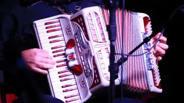 Accordion Player — Stock Video