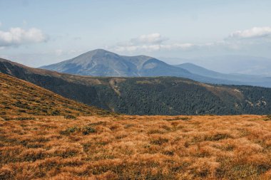 Dağın manzarası Hoverla. Karpat Dağları.