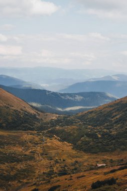 Vadideki Hoverla Dağı 'nın manzarası. Karpat Dağları.