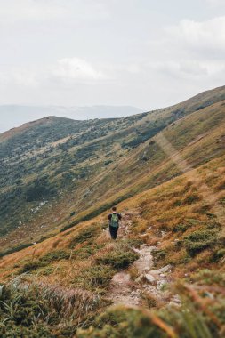 Adam dağ Hoverla 'dan yürüyüş yapıyor. Karpat Dağları.