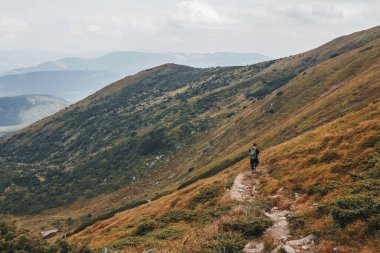 Adam dağ Hoverla 'dan yürüyüş yapıyor. Karpat Dağları.