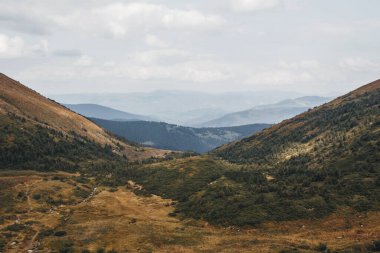 Vadideki Hoverla Dağı 'nın manzarası. Karpat Dağları.