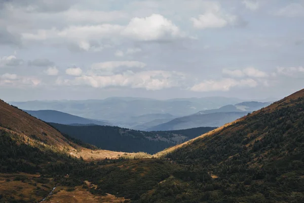 Vadideki Hoverla Dağı 'nın manzarası. Karpat Dağları.