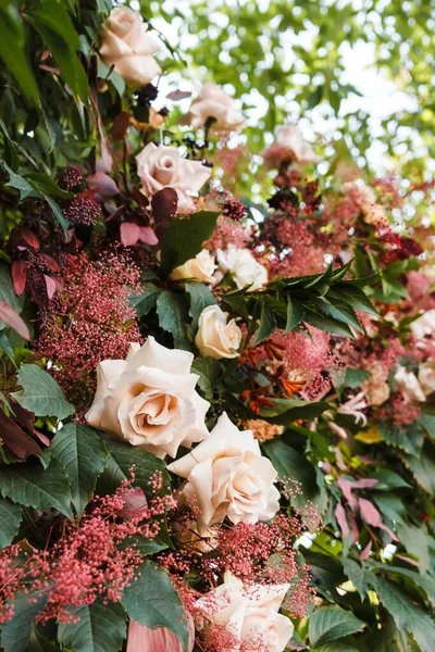 Güzel pembe güller doğal olarak sarmaşık çalılıklarında süslenmiştir. Çiçek...