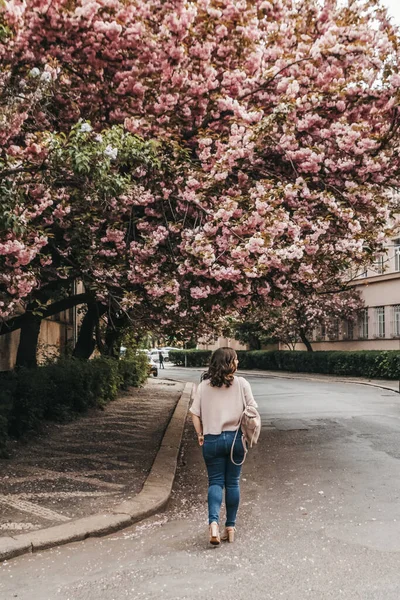 Sakura ağacı çiçek açarken kadın eski bir şehrin sokaklarında yürüyor.
