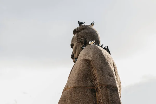 Gołębie Siedzą Pomniku Iwana Franko — Zdjęcie stockowe