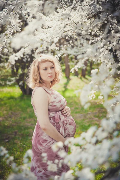 Pregnant woman standing near a flowering tree — Stock Photo, Image