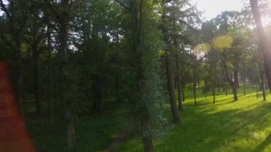 Beyaz Rusya 'daki güzel doğal orman parkında İHA' dan çekimler