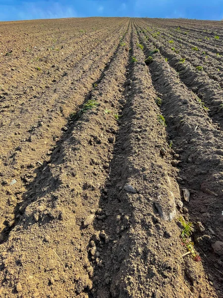 Campo arado preparado en un día soleado —  Fotos de Stock