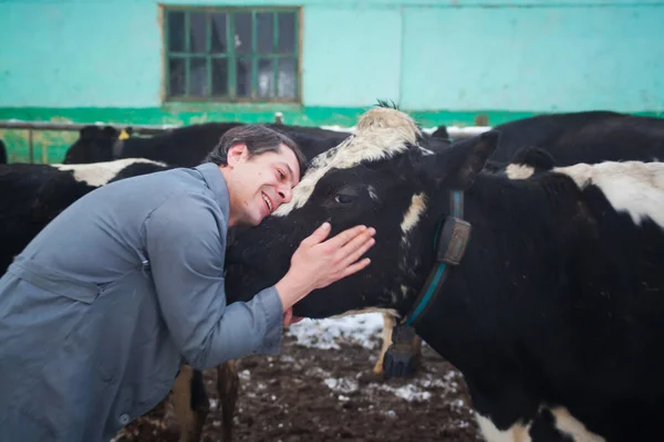 Grodno Belarus Setembro 2013 Homem Uma Vaca Uma Fazenda Foto — Fotografia de Stock