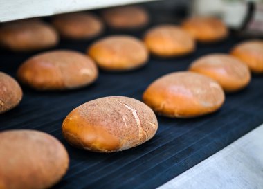 pişmiş ekmek ekmek üretim hattı üzerinde