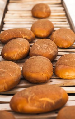 pişmiş ekmek ekmek üretim hattı üzerinde