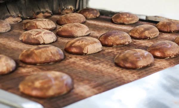 Ψημένο ψωμί στη γραμμή παραγωγής στο αρτοποιείο — Φωτογραφία Αρχείου