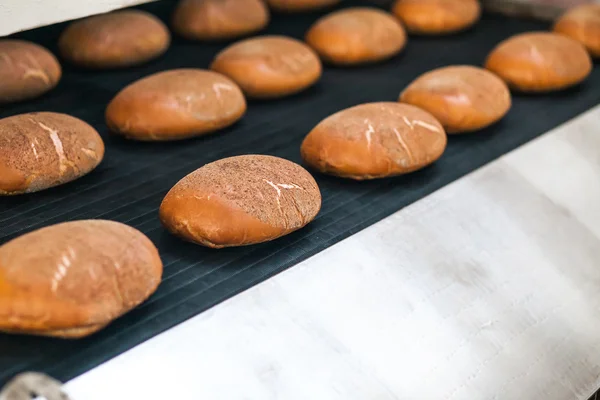 Pains cuits sur la ligne de production de la boulangerie — Photo