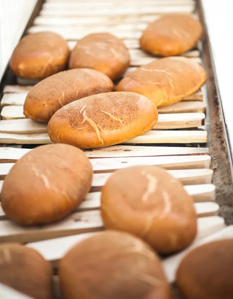 Pişmiş ekmek ekmek üretim hattı üzerinde — Stok fotoğraf