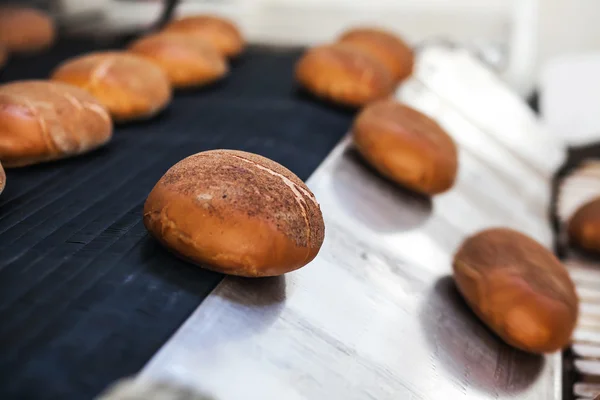 Nybakat bröd på produktionslinjen på bageriet — Stockfoto